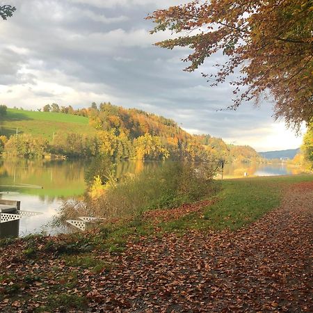 Charming Studio Near Rotsee Lucerne Kitchen/Wifi/Wasching Machine エクステリア 写真