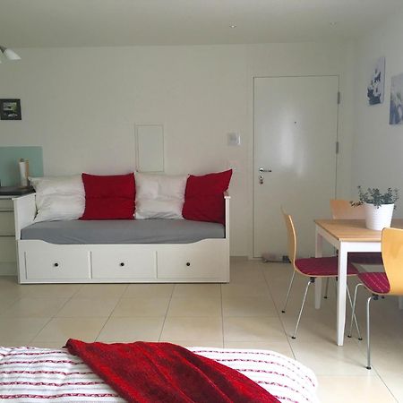 Charming Studio Near Rotsee Lucerne Kitchen/Wifi/Wasching Machine エクステリア 写真