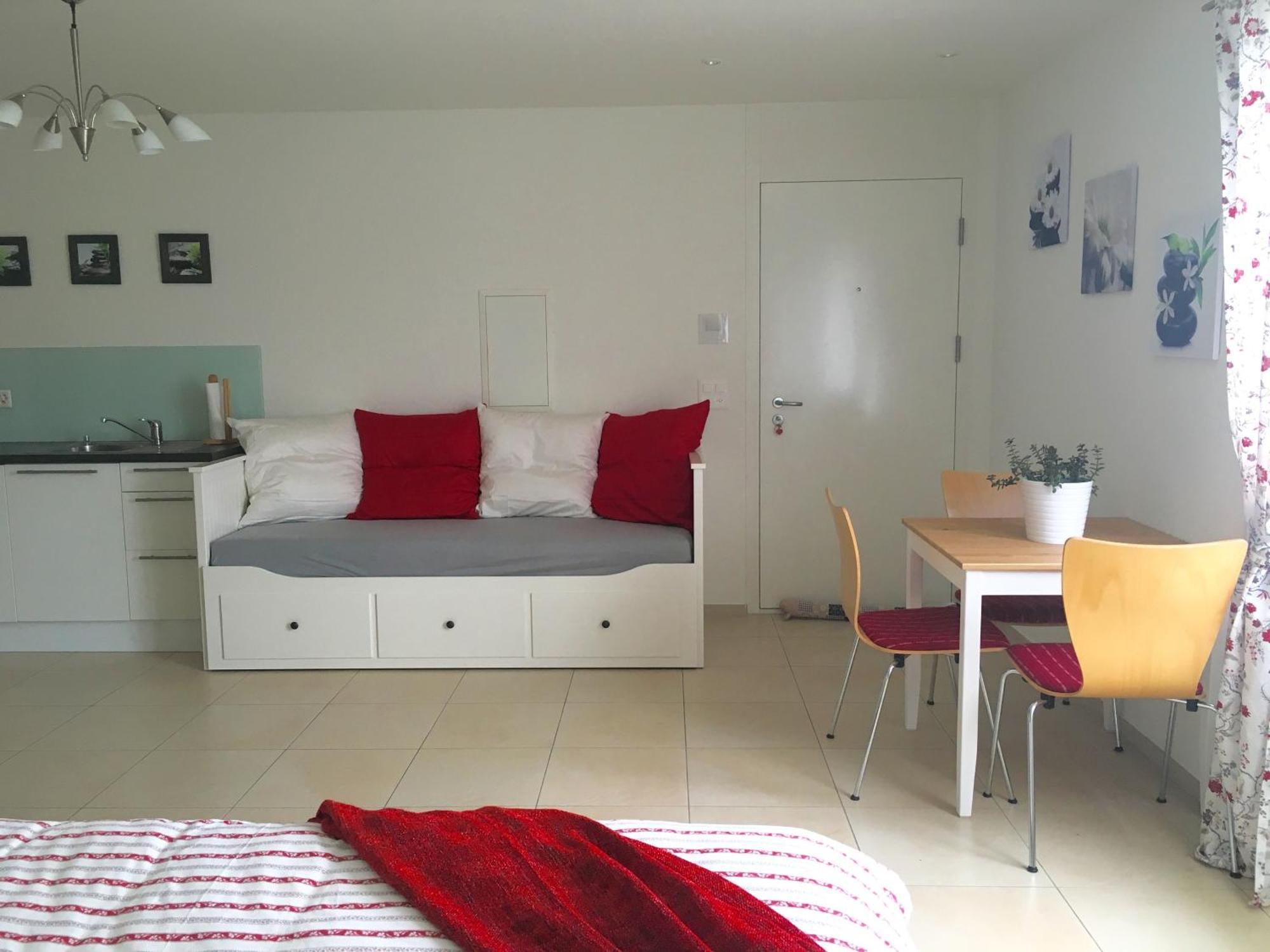 Charming Studio Near Rotsee Lucerne Kitchen/Wifi/Wasching Machine エクステリア 写真
