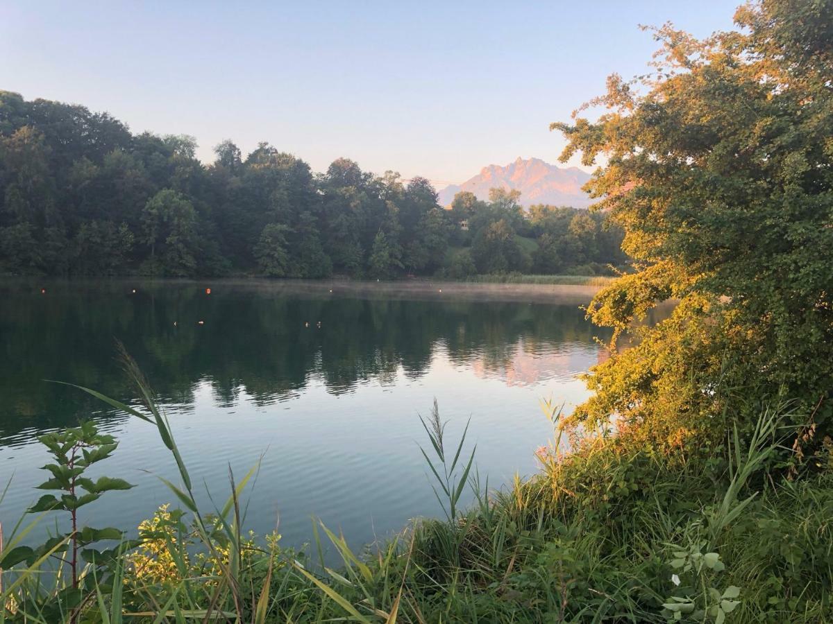 Charming Studio Near Rotsee Lucerne Kitchen/Wifi/Wasching Machine エクステリア 写真